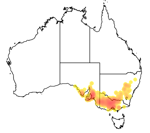 Acacia acinacea flora location map
