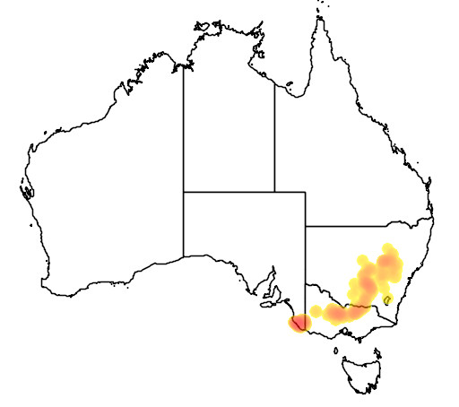 Acacia difformis flora location map