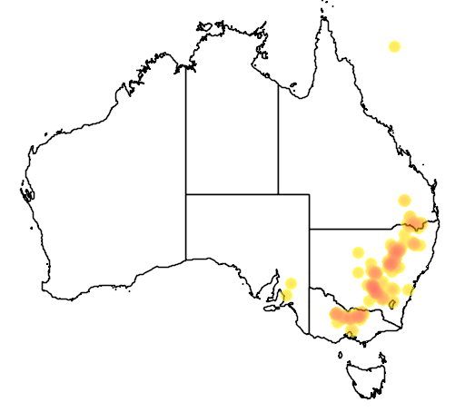 Acacia flexifolia flora location map