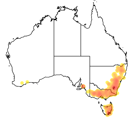 Acacia gunnii flora location map