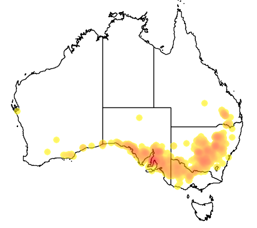 Acacia hakeoides flora location map