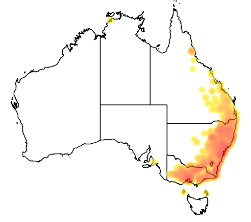Acacia implexa flora location map