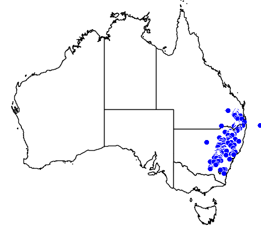 Acacia leucoclada flora location map