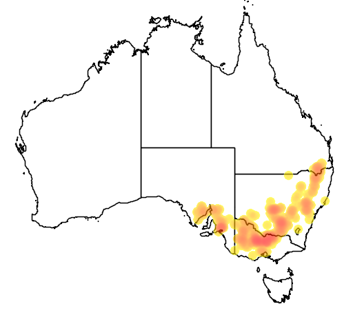 Acacia montana flora location map