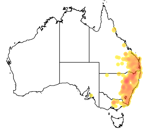 Acacia penninervis flora location map