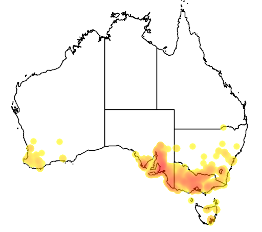 Acacia pycnantha flora location map