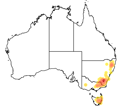 Acacia siculiformis flora location map