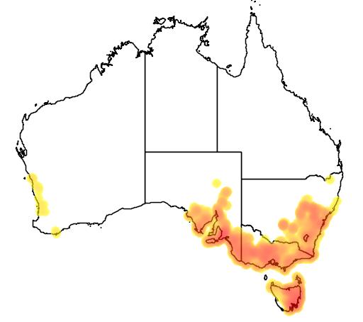 Astroloma humifusum flora location map