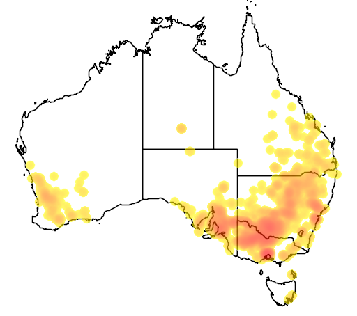 Atriplex semibaccata flora location map