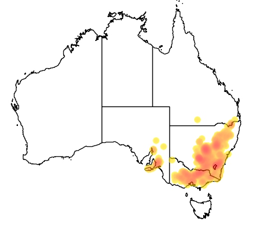 Foxtail Speargrass flora location map