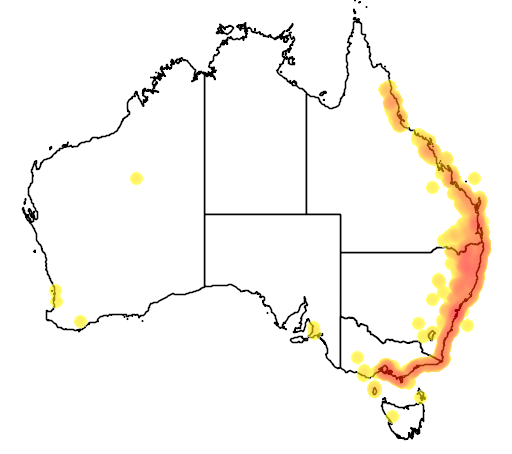 Banksia integrifolia flora location map