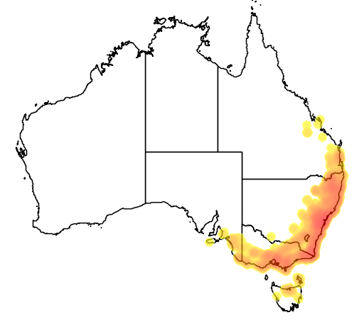 Billardiera scandens var scandens flora location map