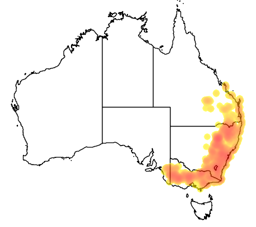 Brachyloma daphnoides flora location map