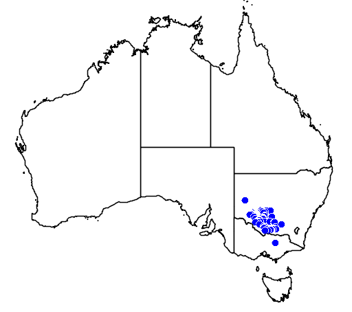 Brachyscome papillosa flora location map