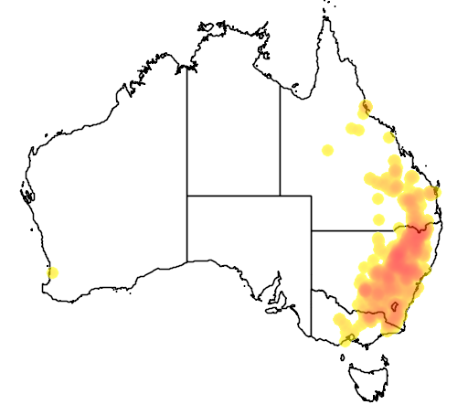 Callitris endlicheri flora location map