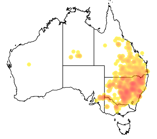 Calotis cuneifolia flora location map