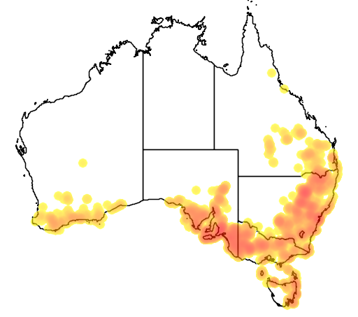 Calytrix tetragona flora location map