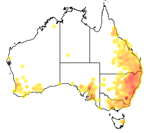 Cheilanthes distans flora location map