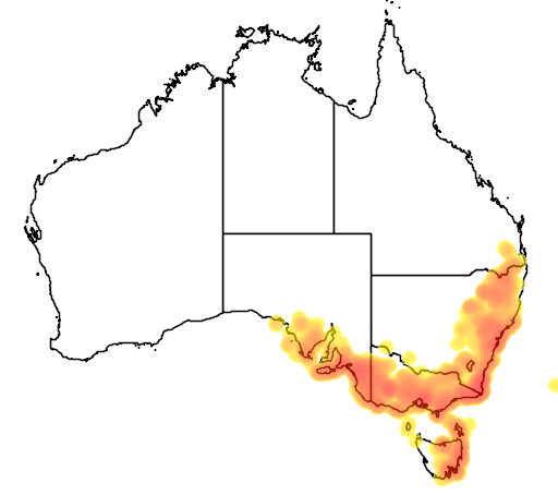 Correa reflexa var reflexa flora location map