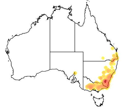 Daviesia mimosoides flora location map