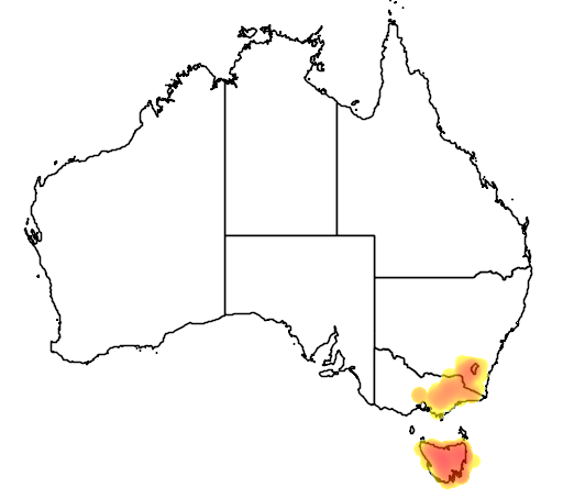 Eucalyptus delegatensis flora location map