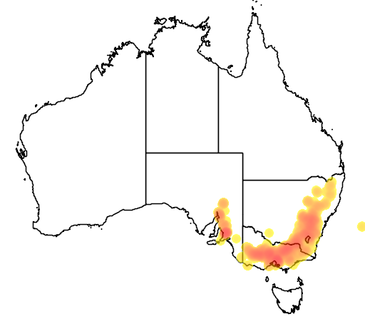 Eucalyptus goniocalyx flora location map