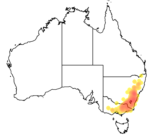 Eucalyptus mannifera flora location map