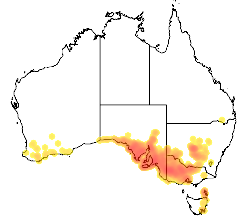 Eutaxia microphylla flora location map
