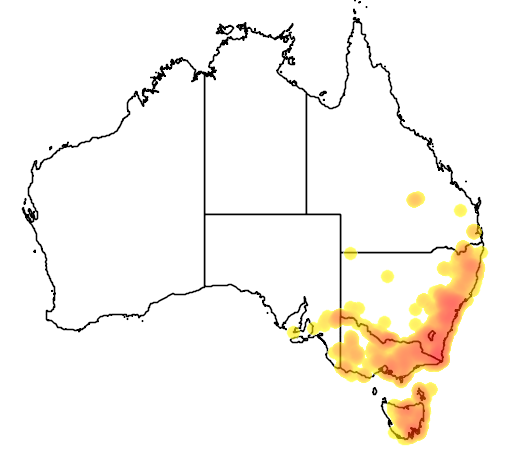 Exocarpos strictus flora location map