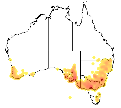 Geranium retrorsum flora location map