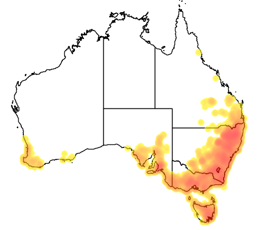 Geranium solanderi flora location map