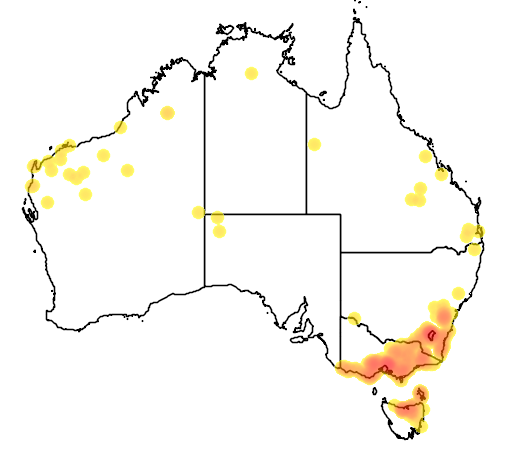 Gynatrix pulchella flora location map