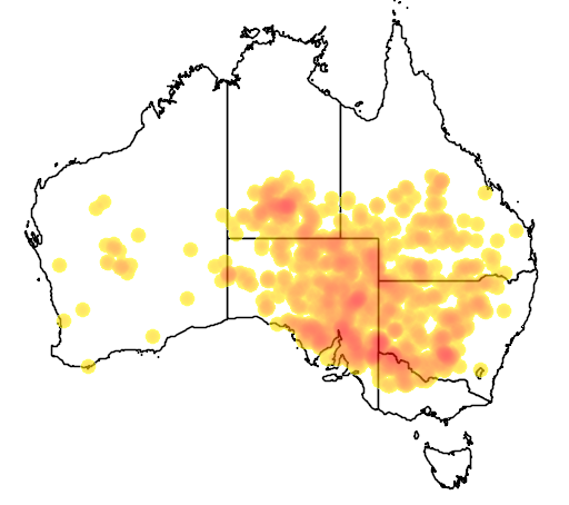 Hakea leucoptera flora location map