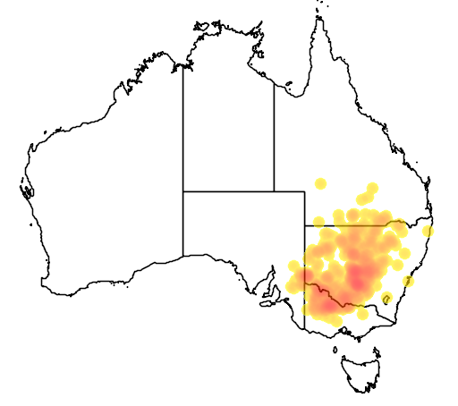 Hakea tephrosperma flora location map