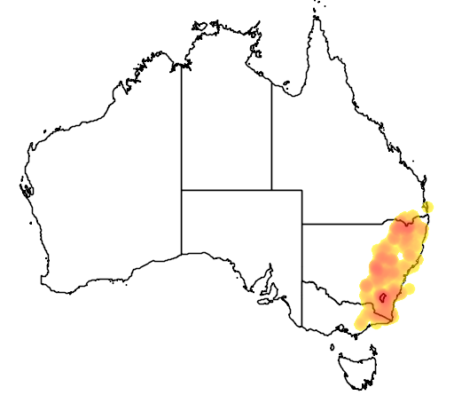 Leucopogon attenuatus flora location map