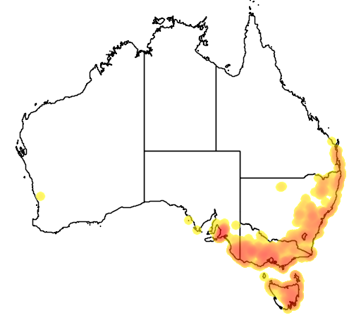Leucopogon virgatus flora location map