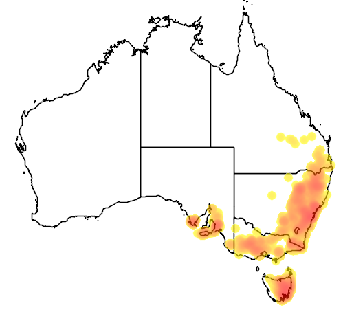 Lissanthe strigosa flora location map