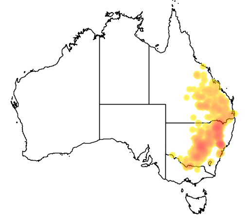 Maireana microphylla flora location map