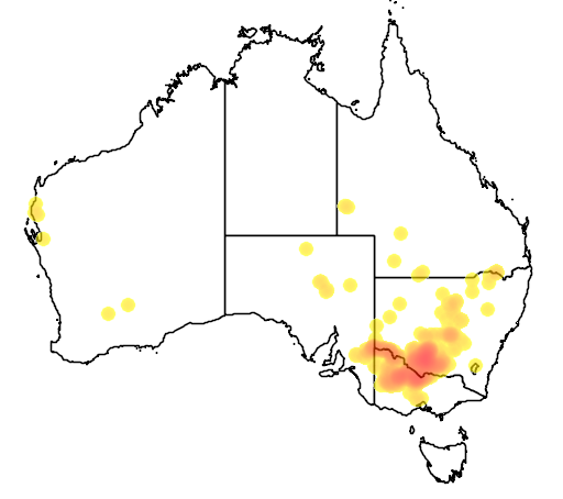 Hairy Bluebush flora location map