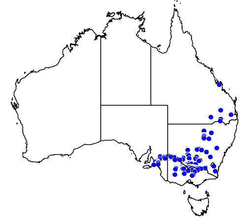 Myriophyllum papillosum flora location map