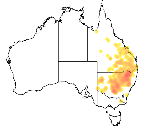 Parsonsia eucalyptophylla flora location map