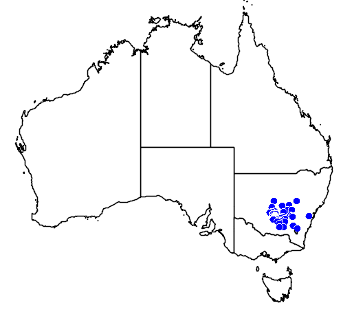 Philotheca myoporoides subsp acuta flora location map
