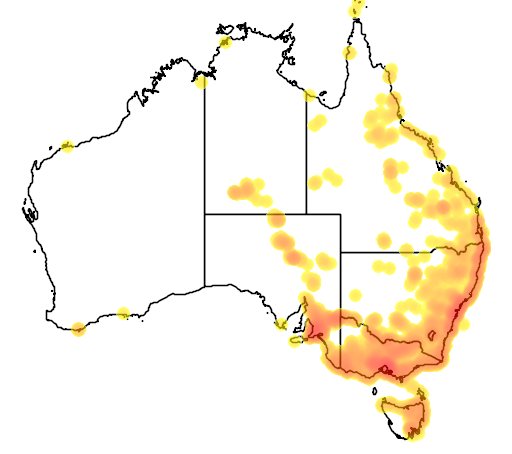 Phragmites australis flora location map