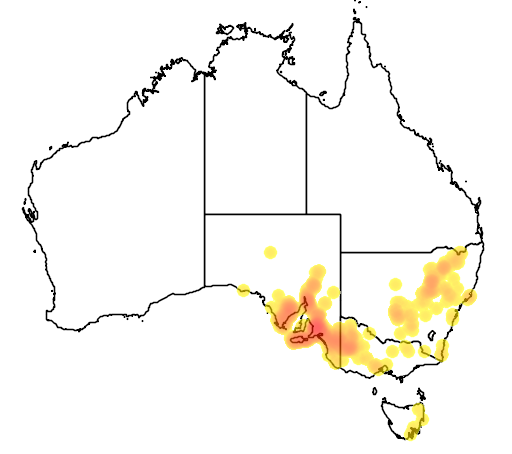Pimelea stricta flora location map