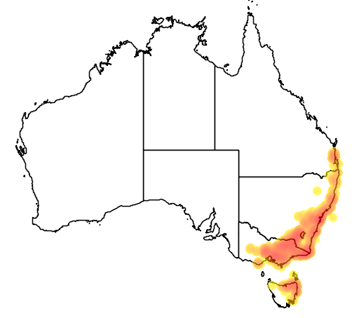 Platylobium formosum flora location map