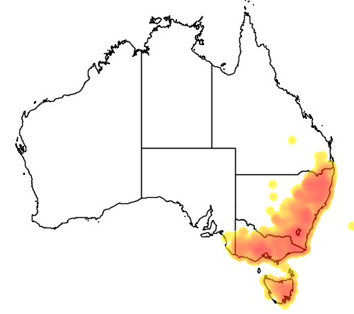 Poa sieberiana flora location map