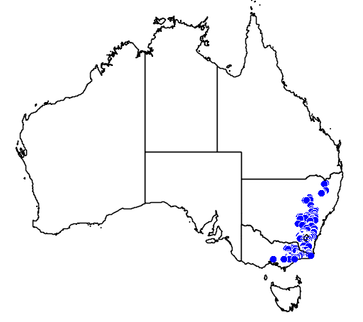 Pomaderris angustifolia flora location map