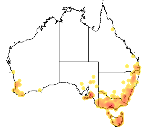 Potamogeton ochreatus flora location map