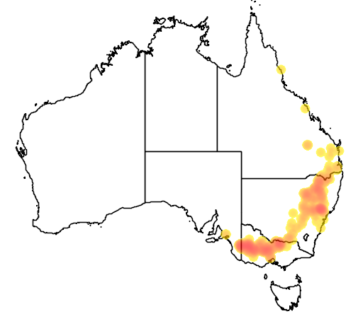 Templetonia stenophylla flora location map