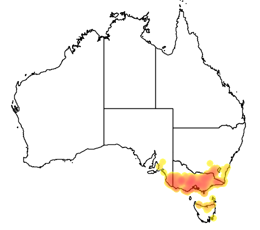 Tetratheca ciliata flora location map